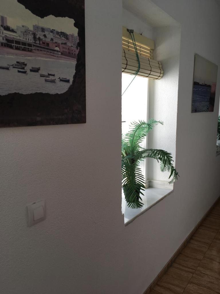 Hostal Fantoni Cadiz Dış mekan fotoğraf